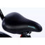 Dviratis TOMABIKE 1601, Blue