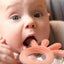 Kramtukas BabyOno OCTOPUS, 826/03