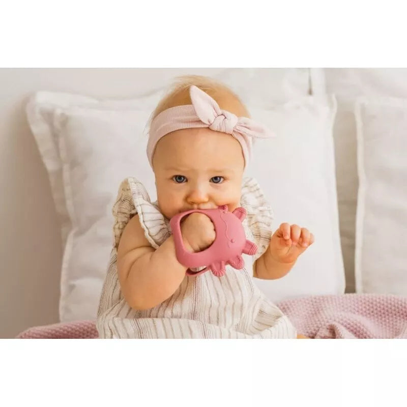 Kramtukas silikoninis GiliGums AXOLOTL Pink