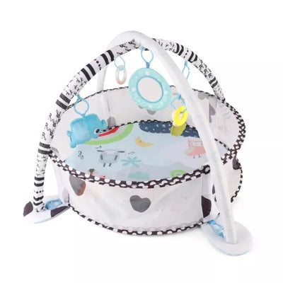 Lavinamasis edukacinis kilimėlis - kamuoliukų baseinas 2in1 TinyMini JL626-2D