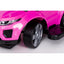 Paspiriama mašina-stumdukas 614R Pink