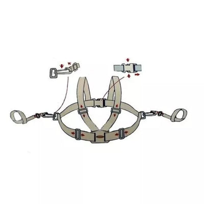 Saugumo diržai ir Pavadėlis Bambino