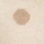 Pledukas medvilninis  Womar Zaffiro Beige