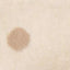 Pledukas medvilninis  Womar Zaffiro Beige#