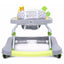 Vaikštynė 4Baby WALK' N PUSH Grey